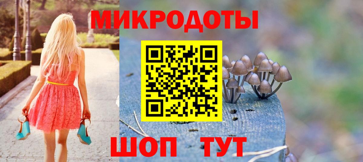 Галлюциногенные грибы мухоморы Камышин