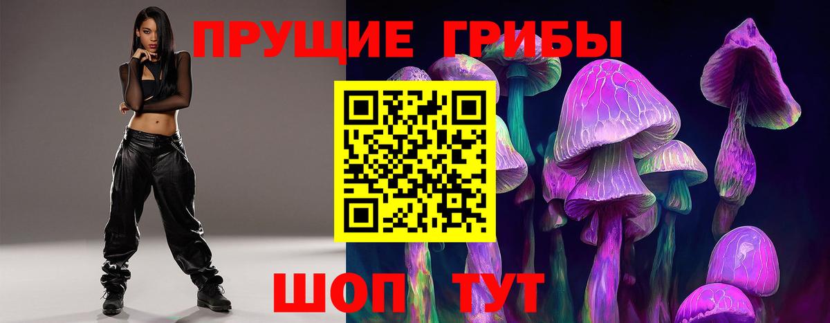 Камышин  Галлюциногенные грибы GOLDEN TEACHER  Галлюциногенные грибы MAGIC MUSHROOMS  Вход с VPN 